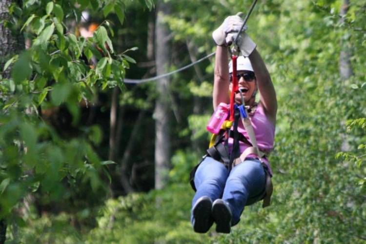 Thing To Do Family Activities