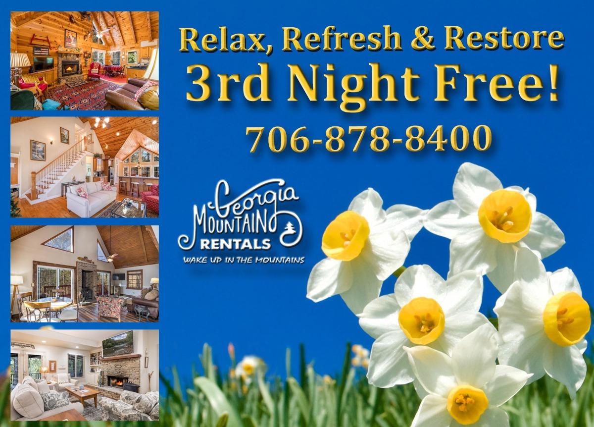 3rd night free special with Georgia Mountain Rentals