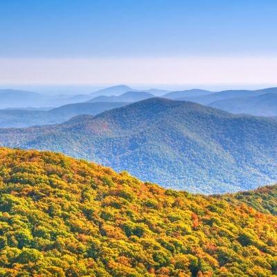 Georgia Mountain View during Fall