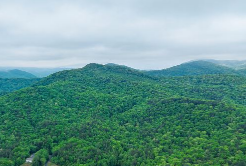Georgia Mountain View